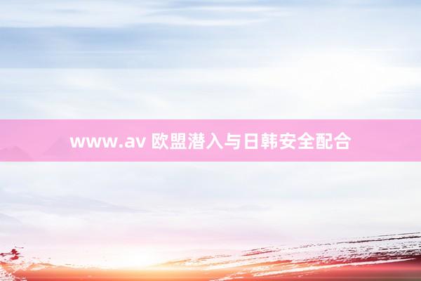 www.av 欧盟潜入与日韩安全配合