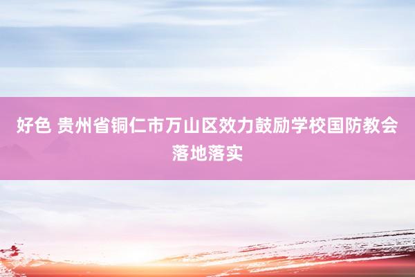 好色 贵州省铜仁市万山区效力鼓励学校国防教会落地落实