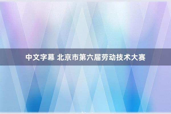 中文字幕 北京市第六届劳动技术大赛