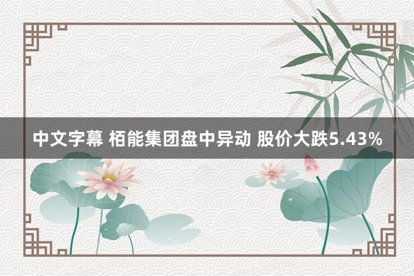 中文字幕 栢能集团盘中异动 股价大跌5.43%