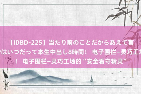 【IDBD-225】当たり前のことだからあえて言わなかったけど…IPはいつだって本生中出し8時間！ 电子围栏—灵巧工场的“安全看守精灵”