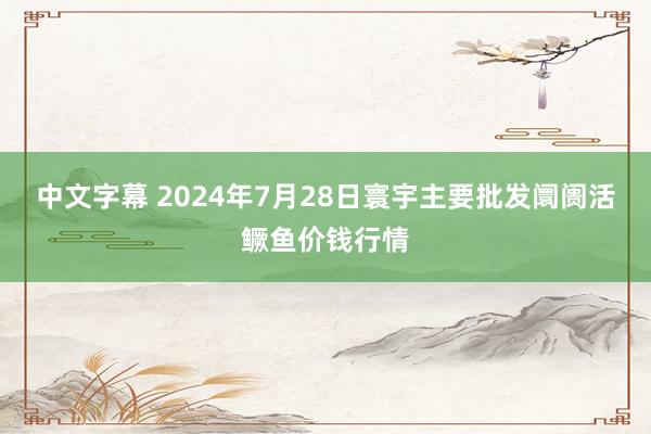 中文字幕 2024年7月28日寰宇主要批发阛阓活鳜鱼价钱行情