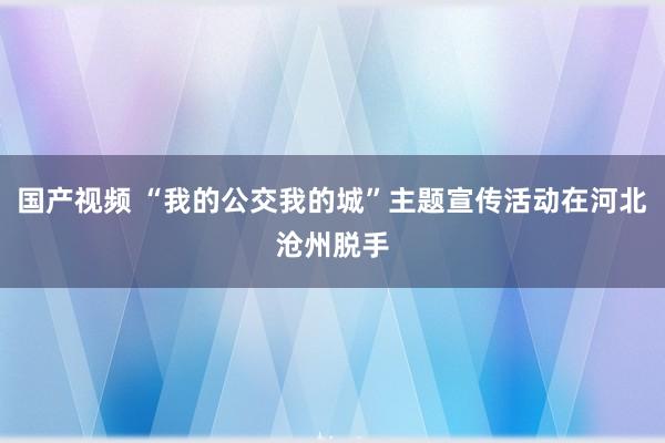 国产视频 “我的公交我的城”主题宣传活动在河北沧州脱手