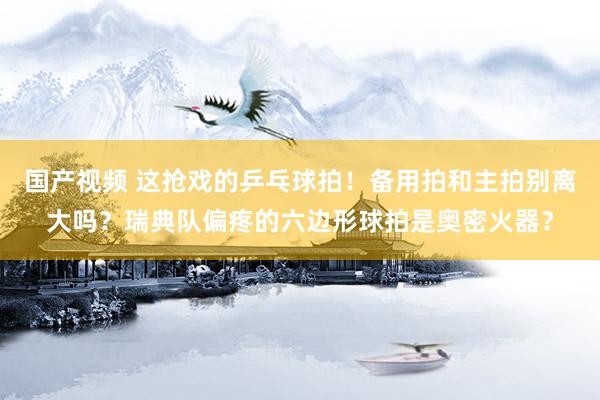 国产视频 这抢戏的乒乓球拍！备用拍和主拍别离大吗？瑞典队偏疼的六边形球拍是奥密火器？