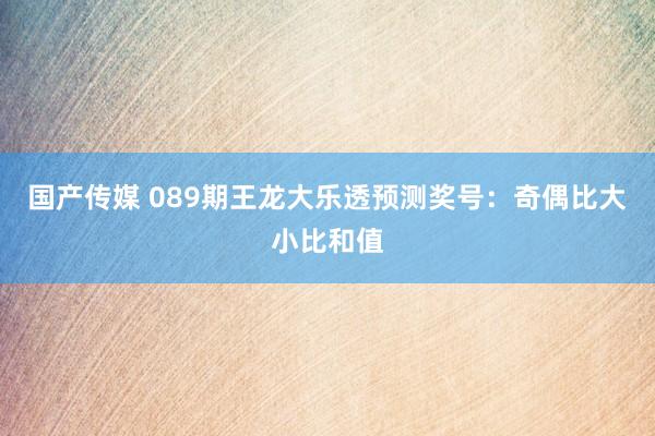 国产传媒 089期王龙大乐透预测奖号：奇偶比大小比和值