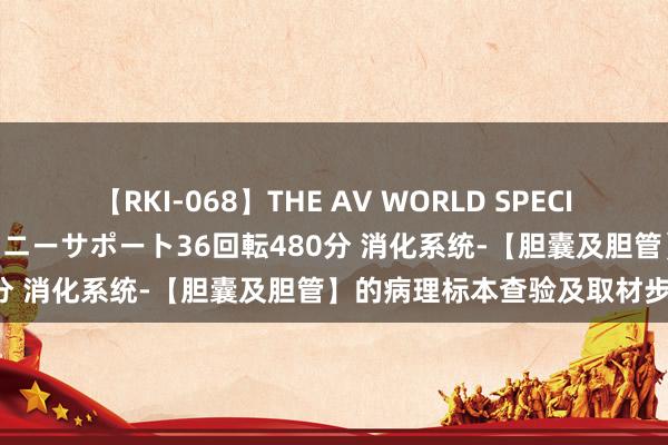 【RKI-068】THE AV WORLD SPECIAL あなただけに 最高のオナニーサポート36回転480分 消化系统-【胆囊及胆管】的病理标本查验及取材步伐