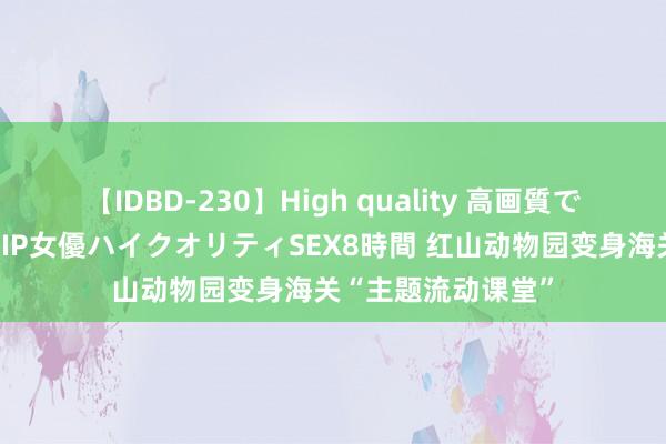 【IDBD-230】High quality 高画質で魅せます！究極のIP女優ハイクオリティSEX8時間 红山动物园变身海关“主题流动课堂”