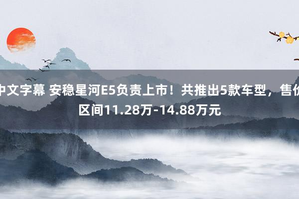 中文字幕 安稳星河E5负责上市！共推出5款车型，售价区间11.28万-14.88万元