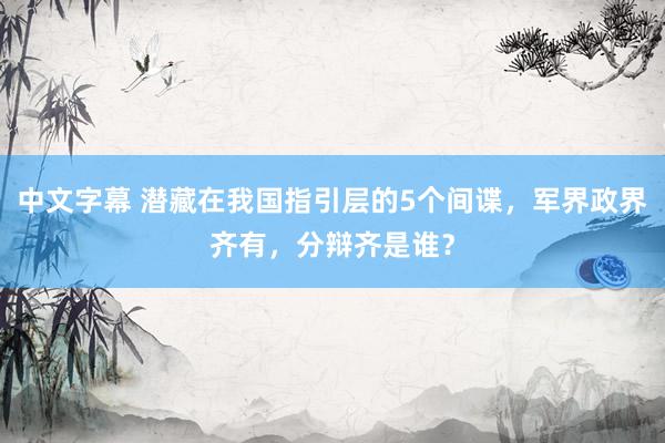 中文字幕 潜藏在我国指引层的5个间谍，军界政界齐有，分辩齐是谁？