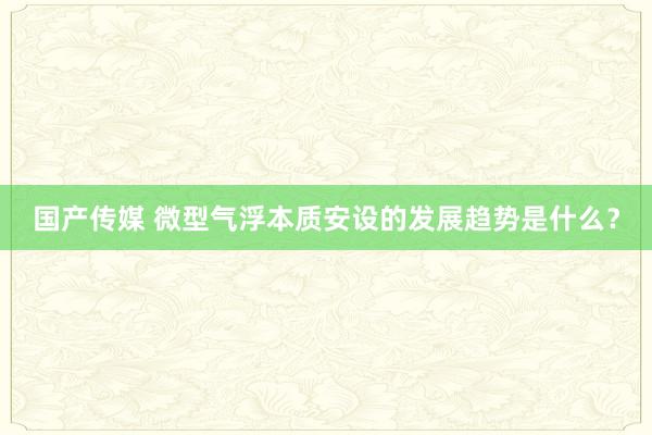 国产传媒 微型气浮本质安设的发展趋势是什么？