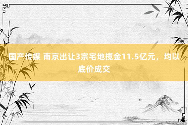 国产传媒 南京出让3宗宅地揽金11.5亿元，均以底价成交