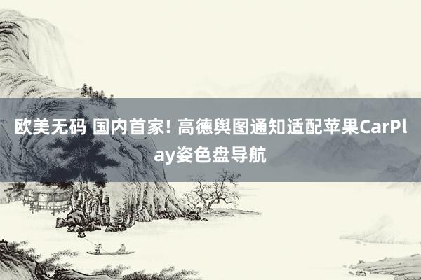 欧美无码 国内首家! 高德舆图通知适配苹果CarPlay姿色盘导航