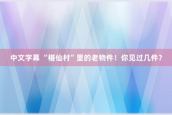 中文字幕 “椹仙村”里的老物件！你见过几件？