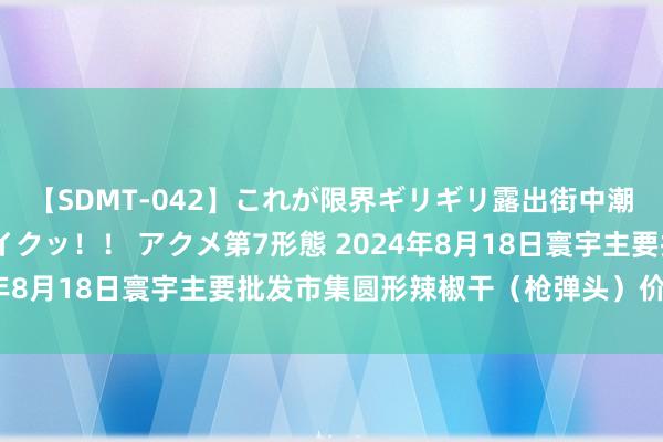 【SDMT-042】これが限界ギリギリ露出街中潮吹き アクメ自転車がイクッ！！ アクメ第7形態 2024年8月18日寰宇主要批发市集圆形辣椒干（枪弹头）价钱行情