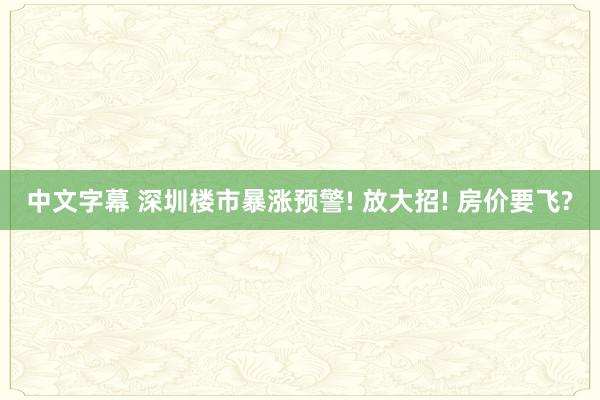 中文字幕 深圳楼市暴涨预警! 放大招! 房价要飞?