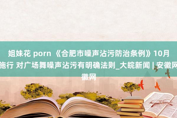 姐妹花 porn 《合肥市噪声沾污防治条例》10月施行 对广场舞噪声沾污有明确法则_大皖新闻 | 安徽网