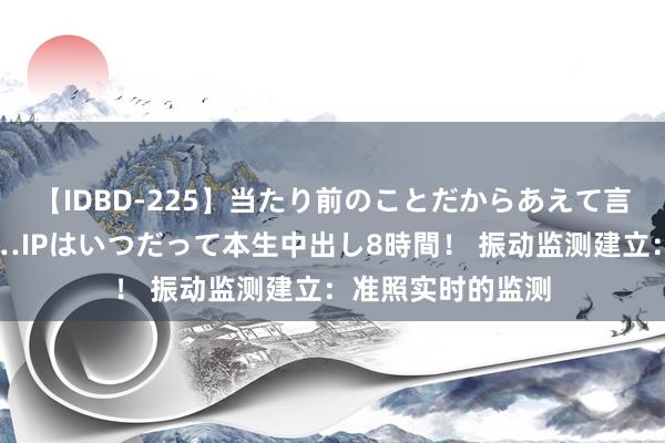 【IDBD-225】当たり前のことだからあえて言わなかったけど…IPはいつだって本生中出し8時間！ 振动监测建立：准照实时的监测