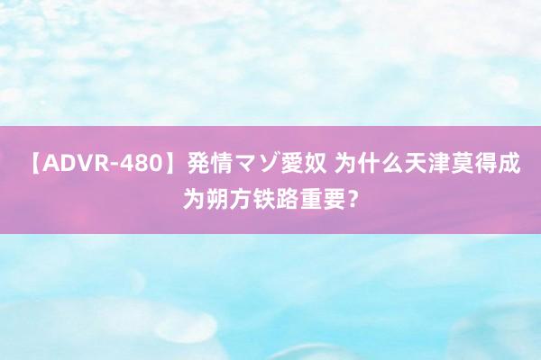 【ADVR-480】発情マゾ愛奴 为什么天津莫得成为朔方铁路重要？