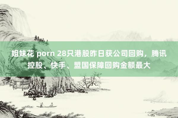 姐妹花 porn 28只港股昨日获公司回购，腾讯控股、快手、盟国保障回购金额最大