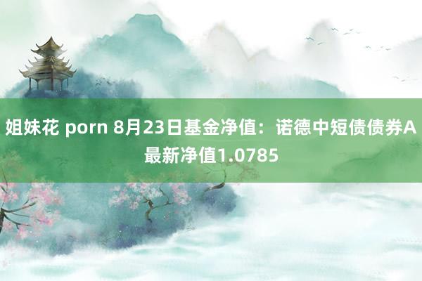 姐妹花 porn 8月23日基金净值：诺德中短债债券A最新净值1.0785