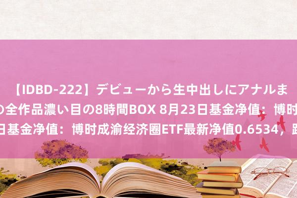 【IDBD-222】デビューから生中出しにアナルまで！最強の芸能人AYAの全作品濃い目の8時間BOX 8月23日基金净值：博时成渝经济圈ETF最新净值0.6534，跌0.03%