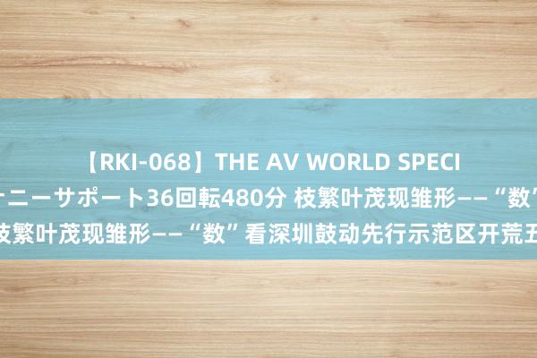 【RKI-068】THE AV WORLD SPECIAL あなただけに 最高のオナニーサポート36回転480分 枝繁叶茂现雏形——“数”看深圳鼓动先行示范区开荒五周年