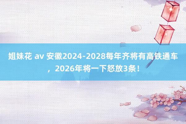 姐妹花 av 安徽2024-2028每年齐将有高铁通车，2026年将一下怒放3条！