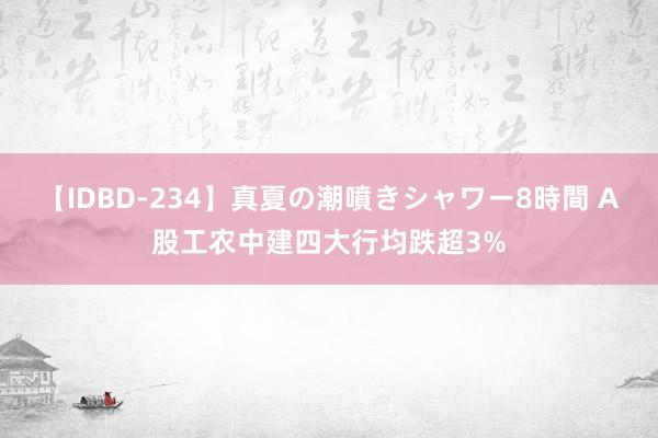 【IDBD-234】真夏の潮噴きシャワー8時間 A股工农中建四大行均跌超3%