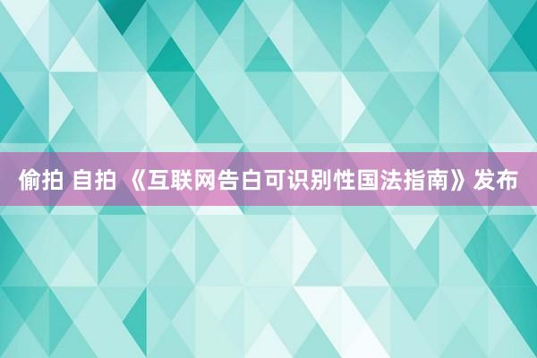 偷拍 自拍 《互联网告白可识别性国法指南》发布