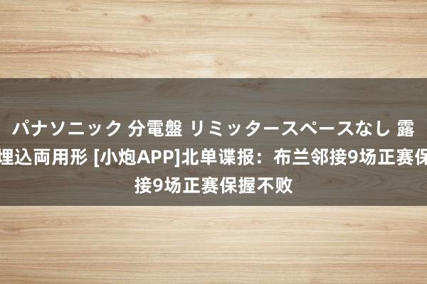 パナソニック 分電盤 リミッタースペースなし 露出・半埋込両用形 [小炮APP]