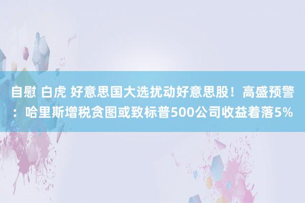 自慰 白虎 好意思国大选扰动好意思股！高盛预警：哈里斯增税贪图或致标普500公司