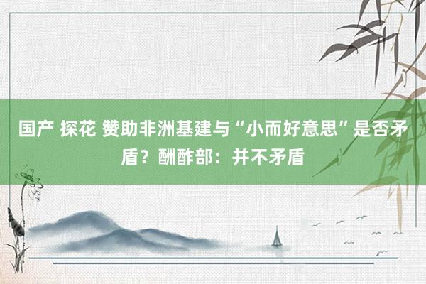 国产 探花 赞助非洲基建与“小而好意思”是否矛盾？酬酢部：并不矛盾