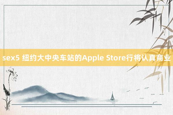 sex5 纽约大中央车站的Apple Store行将认真商业