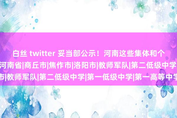 白丝 twitter 妥当部公示！河南这些集体和个东说念主拟获宇宙犒赏|河南省|商丘市|焦作市|洛阳市|教师军队|第二低级中学|第一低级中学|第一高等中学