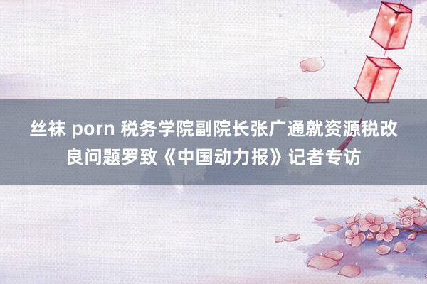 丝袜 porn 税务学院副院长张广通就资源税改良问题罗致《中国动力报》记者专访