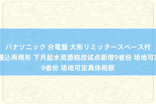 パナソニック 分電盤 大形リミッタースペース付 露出・半埋込両用形 下月起水资源税改试点新增9省份 场地可定具体税额