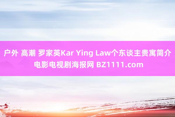 户外 高潮 罗家英Kar Ying Law个东谈主贵寓简介 电影电视剧海报网 B